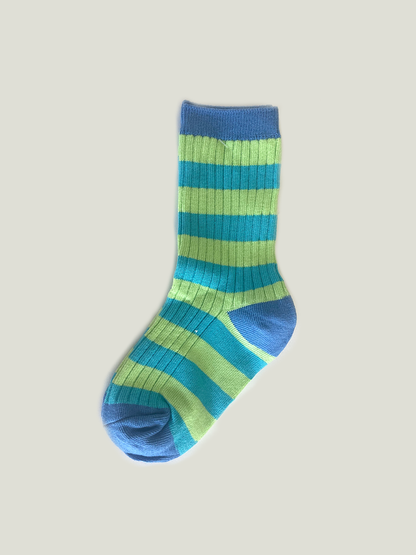 Going Places Socks